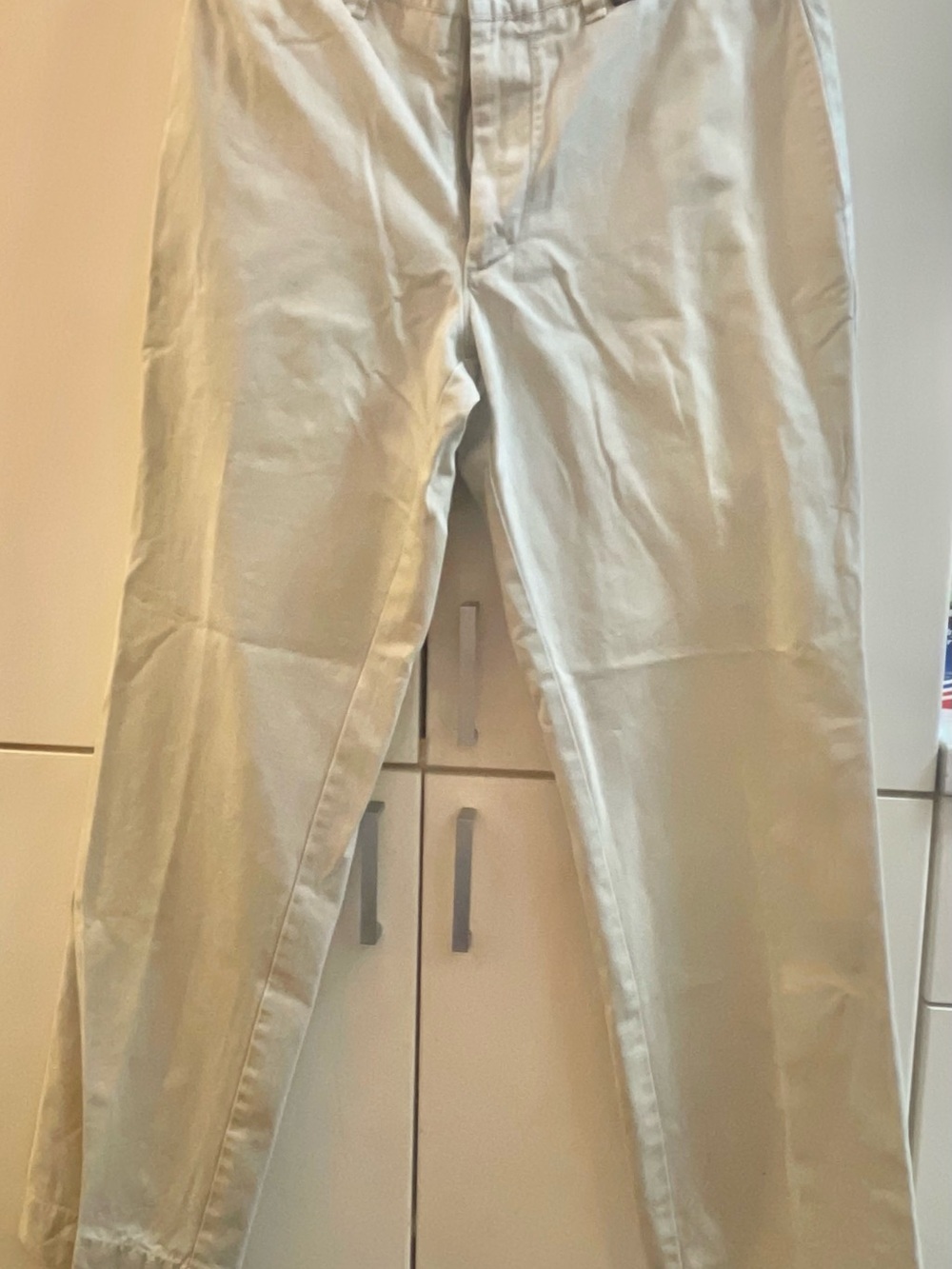 Victorinox Swiss Army Cotton Pants Men's Beige Size W32 / L29 Medium